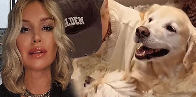 Derin Mermerci... SOKAK HAYVANLARINA DESTEK GECESİ; 'BİR CAN BİR CANDIR GAZİNOSU!'