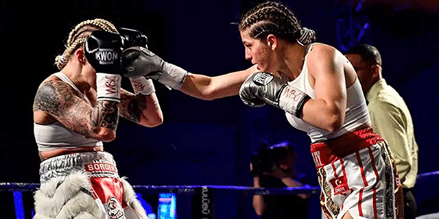 Survivor 2026 Ünlüler-All Star... MİLLİ BOKSÖR KADRODA!