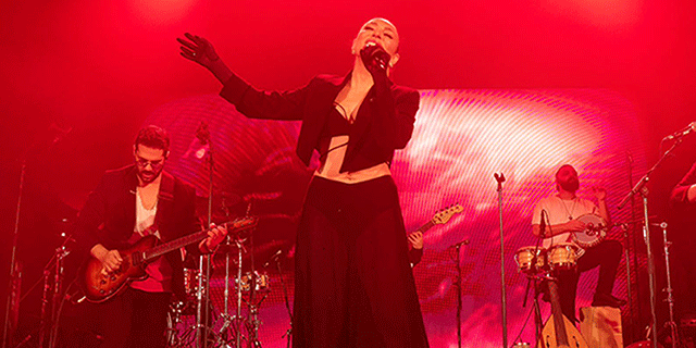 Ziynet Sali... MESLEK HAYATININ 25. YIL KONSERİNİ LONDRA'DA VERDİ!