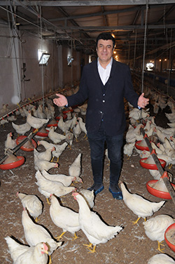 coskunsabah-tavuk.jpg