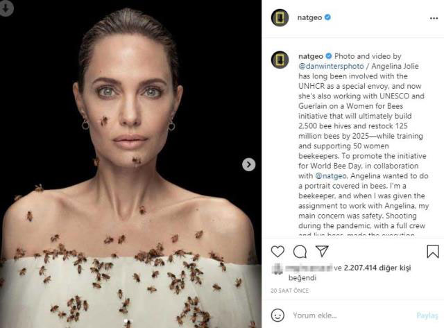 angelinajolie-arilarpaylasim.jpg