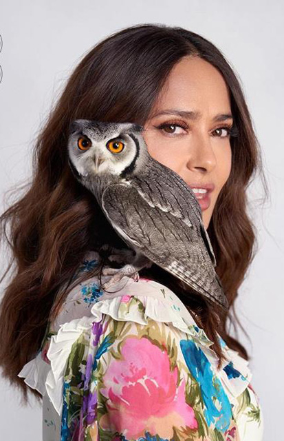 salmahayek-baykus.jpg