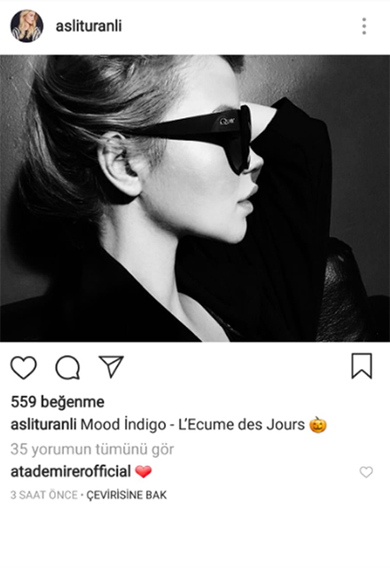 atademirer_aslituranli_begeni1.jpg