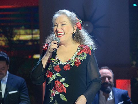 suzankardes-001.gif suzankardes-001.gif