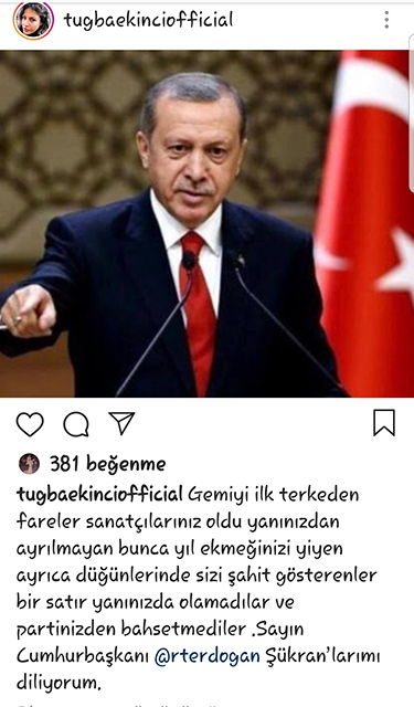 tugbaekinci_tayyiperdogan.jpg